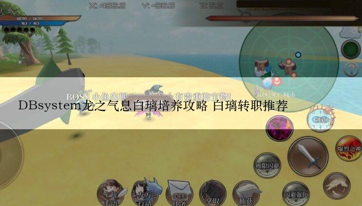 DBsystem龙之气息白璃培养攻略