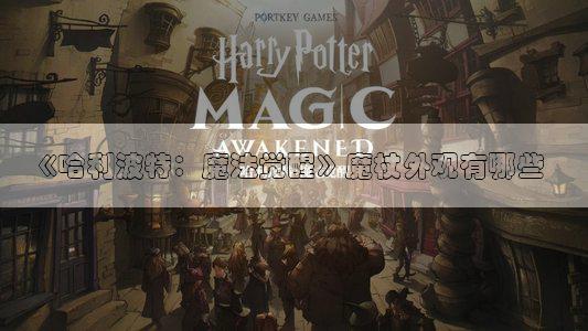 《哈利波特：魔法觉醒》魔杖外观有哪些